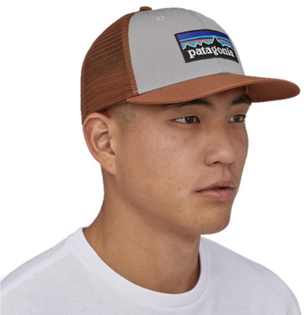 patagonia p6 trucker cap