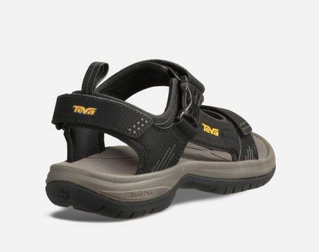 teva holliway